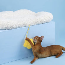 將圖片載入圖庫檢視器 ZEZE Cloud Pet Bed