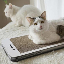 Load image into Gallery viewer, MISSPET Iphone Cat Scratcher