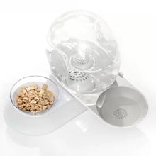 Load image into Gallery viewer, POPOCOLA Snail-Shaped Water Bowl And Feeder
