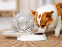 Load image into Gallery viewer, POPOCOLA Snail-Shaped Water Bowl And Feeder