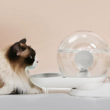 Load image into Gallery viewer, POPOCOLA Snail-Shaped Water Bowl And Feeder
