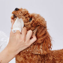 將圖片載入圖庫檢視器 PETIO Pet Dental Teeth Wet Wipes 30 sheets (2 Packs)