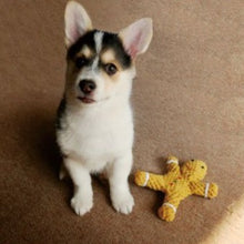 Load image into Gallery viewer, KASHIMA Gingerbread Pet Toy