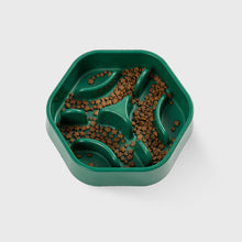 Load image into Gallery viewer, PIDAN Pet Bowl Slow Feeder Forest Maze