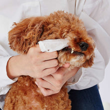 將圖片載入圖庫檢視器 PETIO Pet Dental Teeth Wet Wipes 30 sheets (2 Packs)
