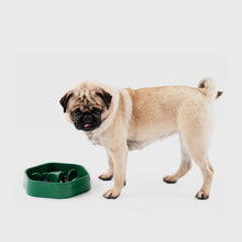 Load image into Gallery viewer, PIDAN Pet Bowl Slow Feeder Forest Maze