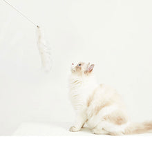 將圖片載入圖庫檢視器 VETRESKA Teaser Wand With Laser Handle