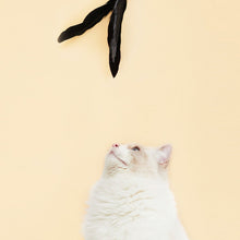 將圖片載入圖庫檢視器 VETRESKA Teaser Wand With Laser Handle