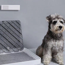 Load image into Gallery viewer, PETKIT PURA AIR Smart Odor Eliminator Air Purifier Replacement Filter