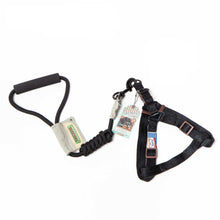 Load image into Gallery viewer, TOUCHDOG Original Round Climbing Rope Dog Leash and Harness (Black)