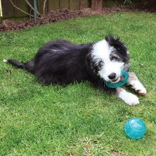 Load image into Gallery viewer, ROSEWOOD BioSafe Blue Puppy Ball