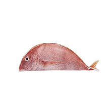 Load image into Gallery viewer, PETIO Add Mate Yakitai Kerigurumi Cat Toy