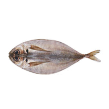 Load image into Gallery viewer, PETIO Add Mate Yakitai Kerigurumi Cat Toy