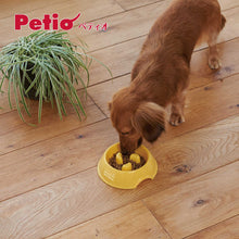 Load image into Gallery viewer, PETIO Health Program Pet Slow Feed Bowl Set