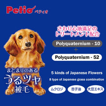 將圖片載入圖庫檢視器 PETIO Wasai Mika Amino Treatment Dog Moisture and Shine Shampoo 480ml