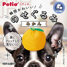Load image into Gallery viewer, PETIO Nosegurumi Hat For Pet