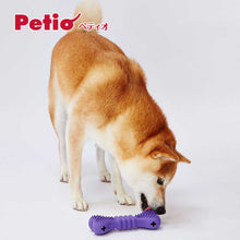 Load image into Gallery viewer, PETIO Treats Lover Bone Dog Toy