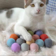 將圖片載入圖庫檢視器 MISSPET Natural Wool Balls