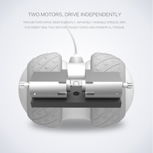 Load image into Gallery viewer, BENTOPAL P03 Smart Wheel Feather Self Rolling Cat Toy