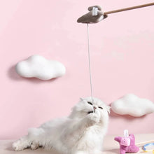 Load image into Gallery viewer, MICHU Mayitwill Natural Interactive Cat Wand, Safe Hunting Distance Cat Toys for Indoor Cats
