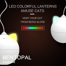 Load image into Gallery viewer, BENTOPAL P02 Colourful LED Roly Poly Electric Cat Toy