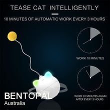 Load image into Gallery viewer, BENTOPAL P02 Colourful LED Roly Poly Electric Cat Toy