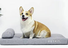 將圖片載入圖庫檢視器 PETKIT Deep Sleep Pet Mattress Comfort Memory Foam Two Layers Pet Bed