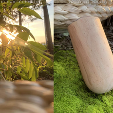 Load image into Gallery viewer, WOHOO MARKET Moonlight Pet Bed