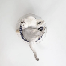 Load image into Gallery viewer, WOHOO MARKET Moonlight Pet Bed