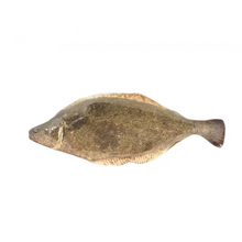 Load image into Gallery viewer, WOHOO MARKET Fish Cat Toy With Catnips