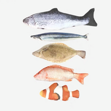 Load image into Gallery viewer, WOHOO MARKET Fish Cat Toy With Catnips