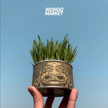 Load image into Gallery viewer, WOHOO MARKET Vibrant Cat Grass Growing Kit