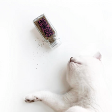 Load image into Gallery viewer, WOHOO MARKET Shake Shake Catnip with Glass Bottle