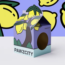 Load image into Gallery viewer, PAWZCITY Tetra-Pak Cat Scratcher House