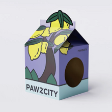 Load image into Gallery viewer, PAWZCITY Tetra-Pak Cat Scratcher House