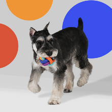 Load image into Gallery viewer, PAWZCITY Interactive Rope Ball With Loop Dog Toys