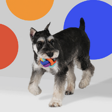 將圖片載入圖庫檢視器 PAWZCITY Interactive Rope Ball Dog Toys