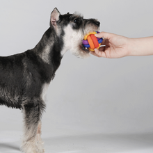 Load image into Gallery viewer, PAWZCITY Interactive Rope Ball With Loop Dog Toys