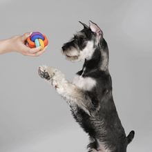 Load image into Gallery viewer, PAWZCITY Interactive Rope Ball With Loop Dog Toys