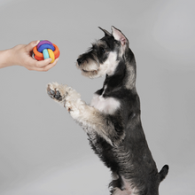 將圖片載入圖庫檢視器 PAWZCITY Interactive Rope Ball Dog Toys
