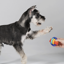 Load image into Gallery viewer, PAWZCITY Interactive Rope Ball With Loop Dog Toys
