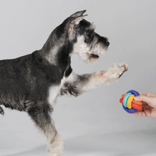 將圖片載入圖庫檢視器 PAWZCITY Interactive Rope Ball Dog Toys