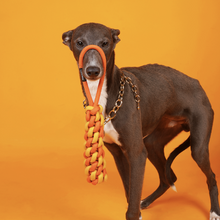 Load image into Gallery viewer, PAWZCITY Interactive Rope Stick With Loop Dog Toys