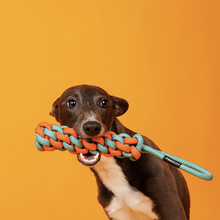 Load image into Gallery viewer, PAWZCITY Interactive Rope Stick With Loop Dog Toys