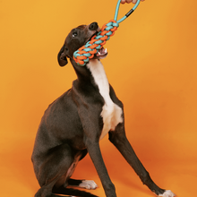 Load image into Gallery viewer, PAWZCITY Interactive Rope Stick With Loop Dog Toys