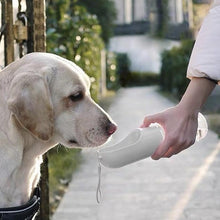 Load image into Gallery viewer, PETKIT EVERSWEET Travel Water Bottle