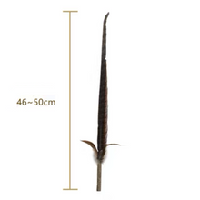 Load image into Gallery viewer, PETIO Pheasant Feather Cat Teaser With Silvervine 170cm