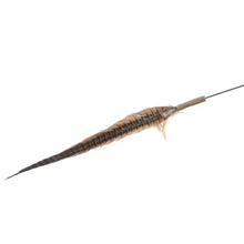 Load image into Gallery viewer, PETIO Pheasant Feather Cat Teaser With Silvervine 170cm