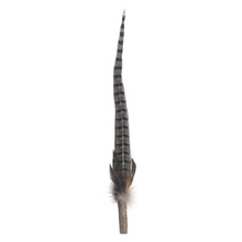 Load image into Gallery viewer, PETIO Pheasant Feather Cat Teaser With Silvervine 170cm