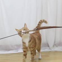Load image into Gallery viewer, PETIO Pheasant Feather Cat Teaser With Silvervine 170cm